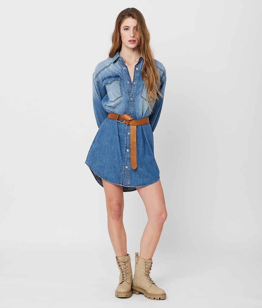 Phoenix Denim Dress, W0532