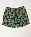 Jungle Swim Shorts, Option B