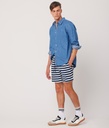 Almec Swim Shorts, Blue Striped