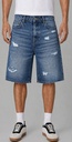 Hudson Denim Shorts, W0621